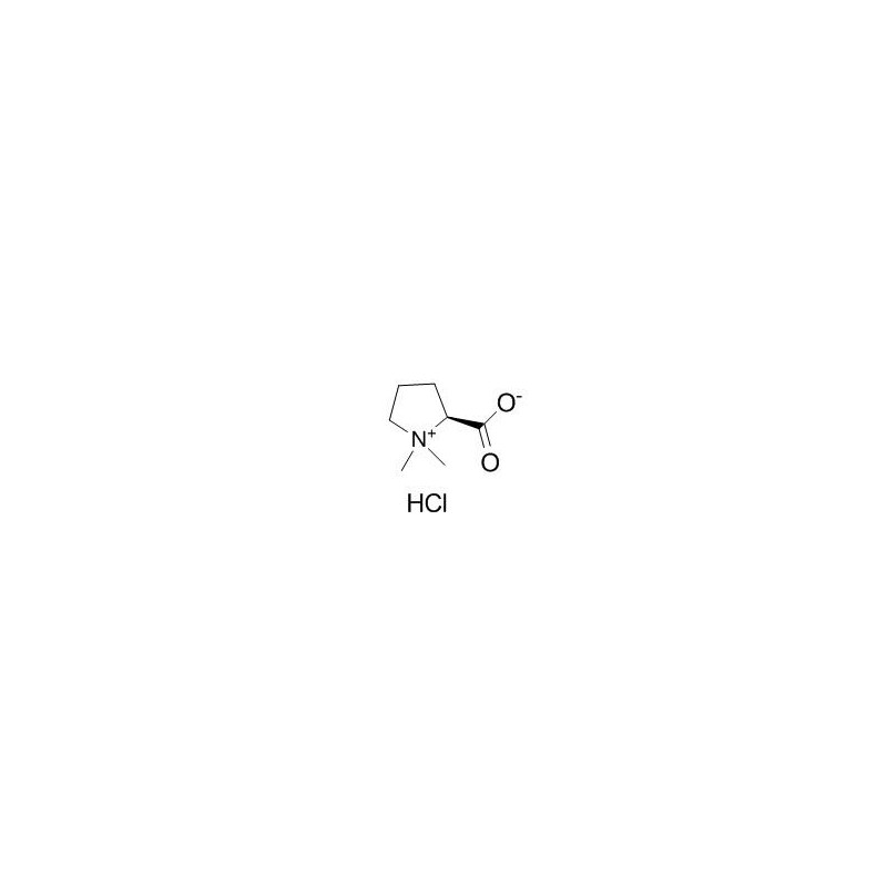 Stachydrine Hydrochloride Supplier CAS 4136 37 2 AOBIOUS