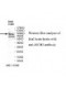 RICH2 Antibody