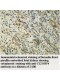 C12orf4 Antibody