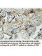 XRCC3 Antibody