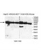 TBC1D10B Antibody