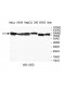 TARS Antibody