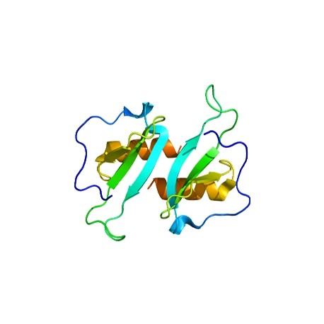 Human Chemokine CCL20/MIP-3 alpha