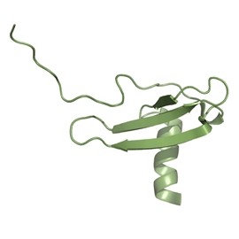 Human Chemokine CXCL12/SDF-1 alpha