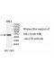 TES Antibody