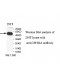 CSF2RA Antibody