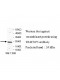 TRAF3IP3 Antibody