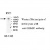 TRIM37 Antibody