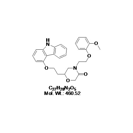 Homo-VK-II-36