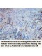 TRMT2A Antibody