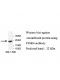 TSSK4 Antibody