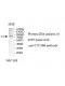 TTC30B Antibody