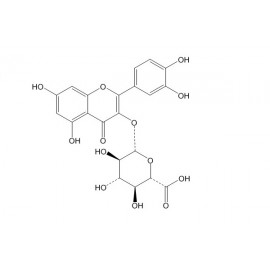 Quercetin 3-O-β-D-glucuronide