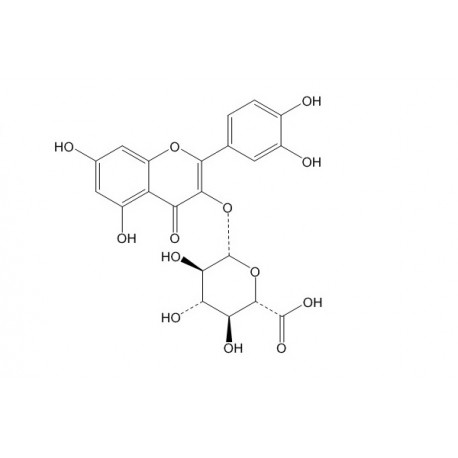 Quercetin 3-O-β-D-glucuronide