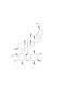 Pseudoginsenoside F11