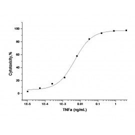 Human TNF-alpha / TNFA Protein