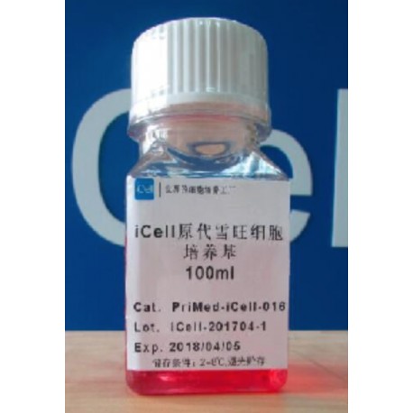 Primary Schwann Cell Culture System