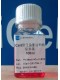 Primary Preadipocyte Culture System