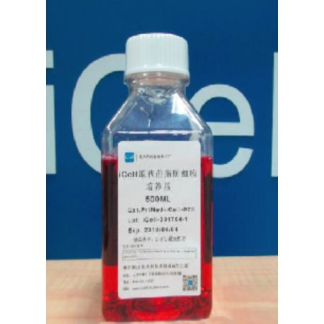 Primary Mesenchymal Cell Culture System