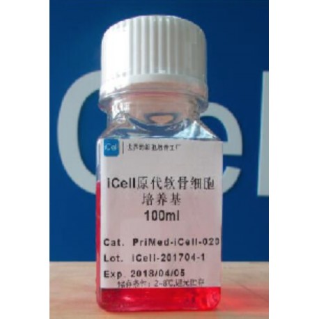 Primary Ovarian Granulosa Cell Culture System