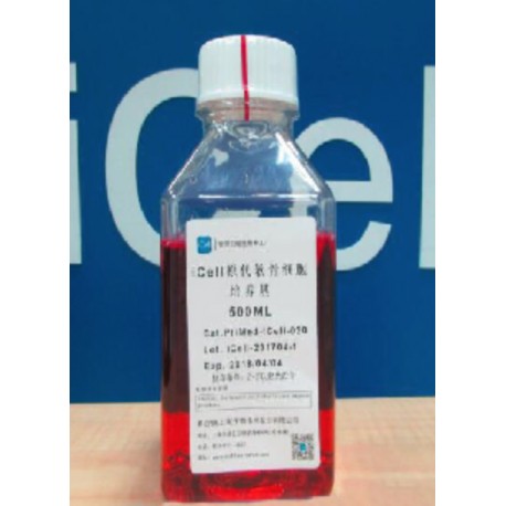 Primary Ovarian Granulosa Cell Culture System