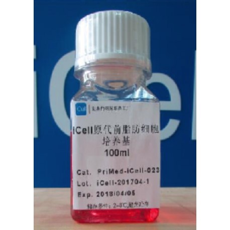 Primary Osteoclast Culture System