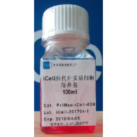 Primary Liver Parenchyma Cell Culture System