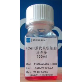 Primary Stellate Cell Culture System