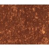 Human Primary Esophageal Epithelial Cells