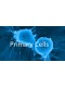 Human Primary Liver Fibroblasts Cells