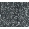 Human Primary T Lymphocytes Cells