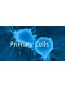 Human Primary Umbilical Cord Mesenchymal Stem Cells