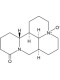 Oxymatrine