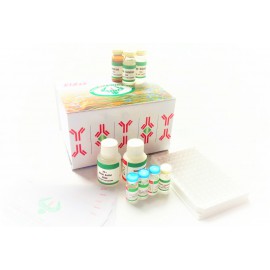 ELISA Kit FOR Alpha-2-macroglobulin