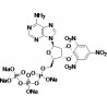 TNP-ATP sodium salt