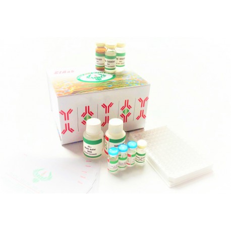 ELISA Kit FOR Alpha-2-macroglobulin