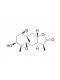 Carabrolactone A