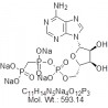 L-AMP-PCP sodium salt