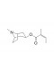 Tigloyltropeine