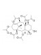 1-Acetoxy-5-deacetylbaccatin I