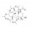 1-Acetoxy-5-deacetylbaccatin I