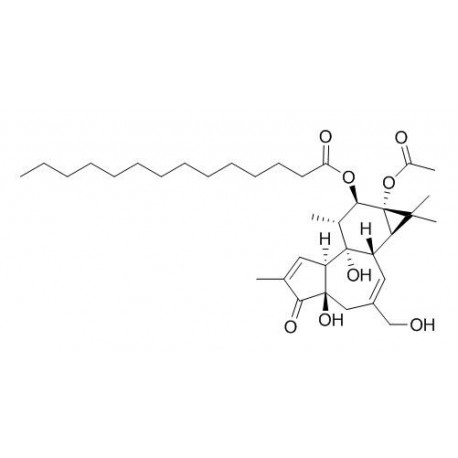 12-O-tetradecanoylphorbol-13-acetate