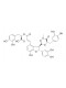 9'-Methyl lithospermate B