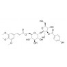 Tenuifoliside A