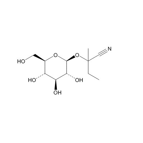 (2RS)-Lotaustralin