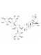 Ardisiacrispin B