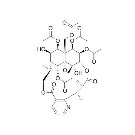 Aquifoliunine E-III