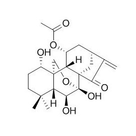 Taibaihenryiins A