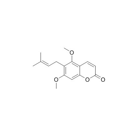 Toddaculine