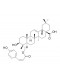 (Z)-23-Coumaroylhederagenin